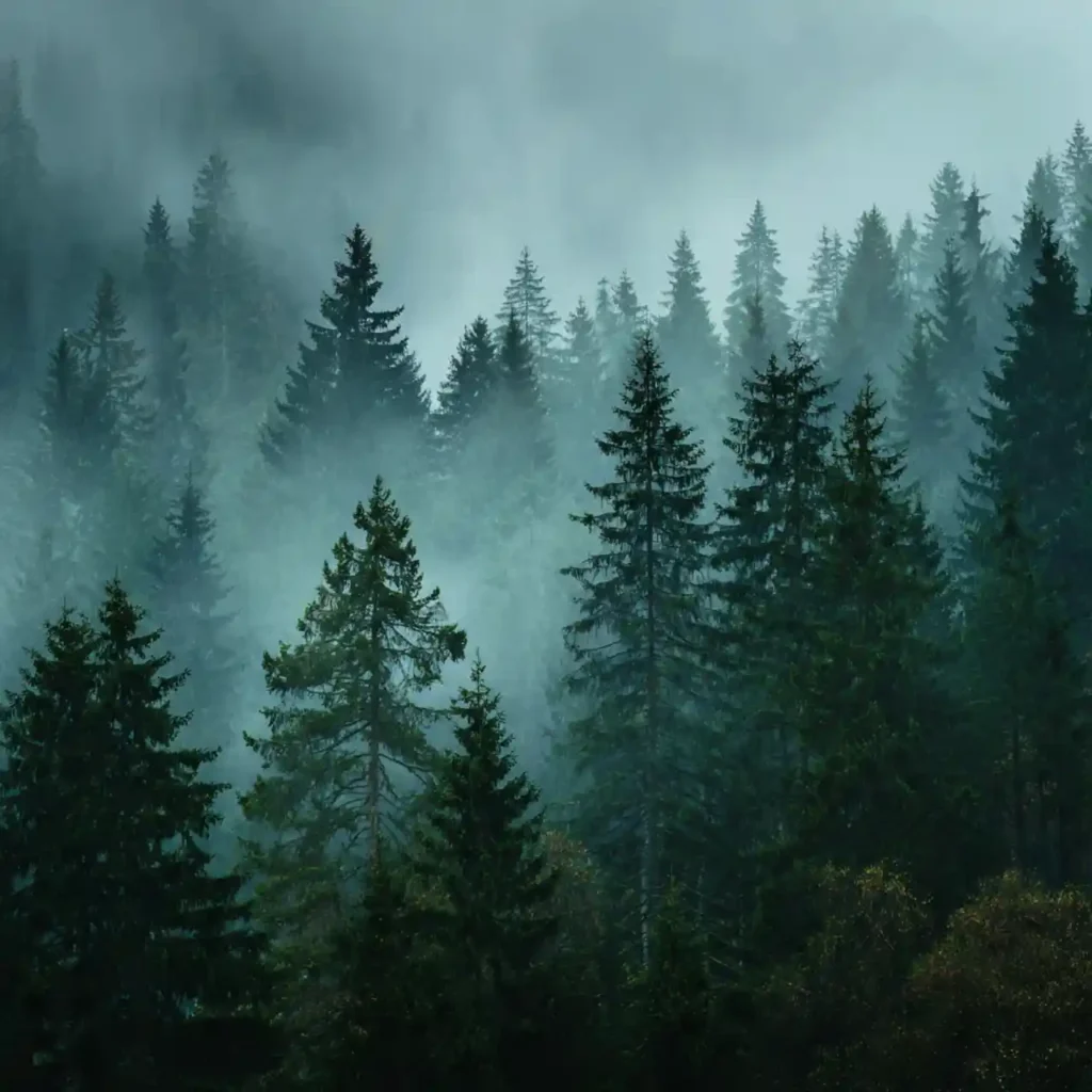 14--Aesthetic Wallpaper Background Idea